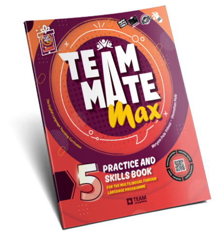 TeamMate Max 5