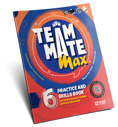 TeamMate Max 6