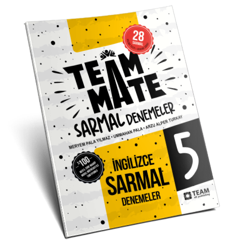 TeamMate 5 Sarmal Denemeler