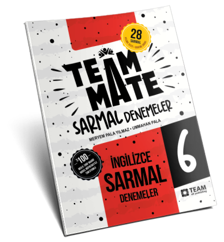 TeamMate 6 Sarmal Denemeler