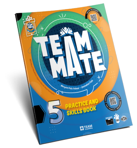 TeamMate 5