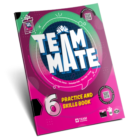 TeamMate 6